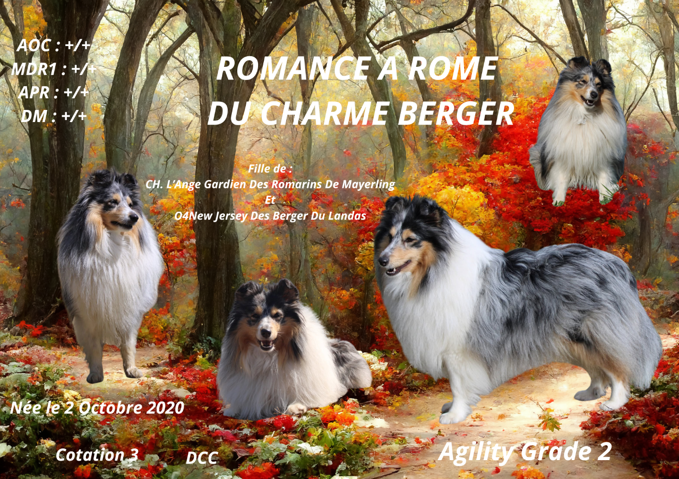 Romance à rome Du Charme Berger